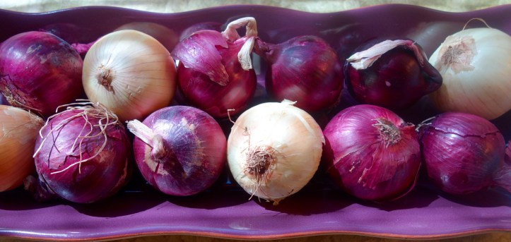 Yellow, White, Red Onions Long