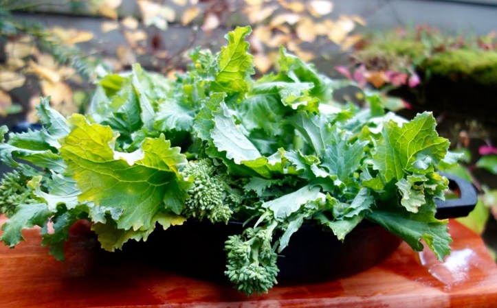 Broccoli Rabe