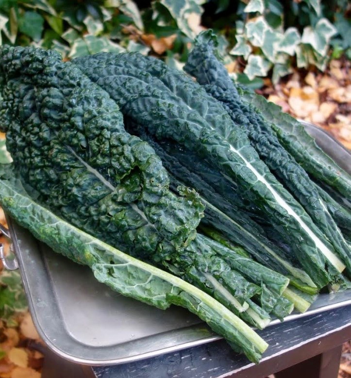 Greens_Kale