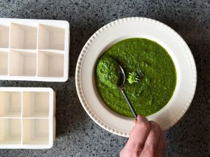 BlenderPesto_done