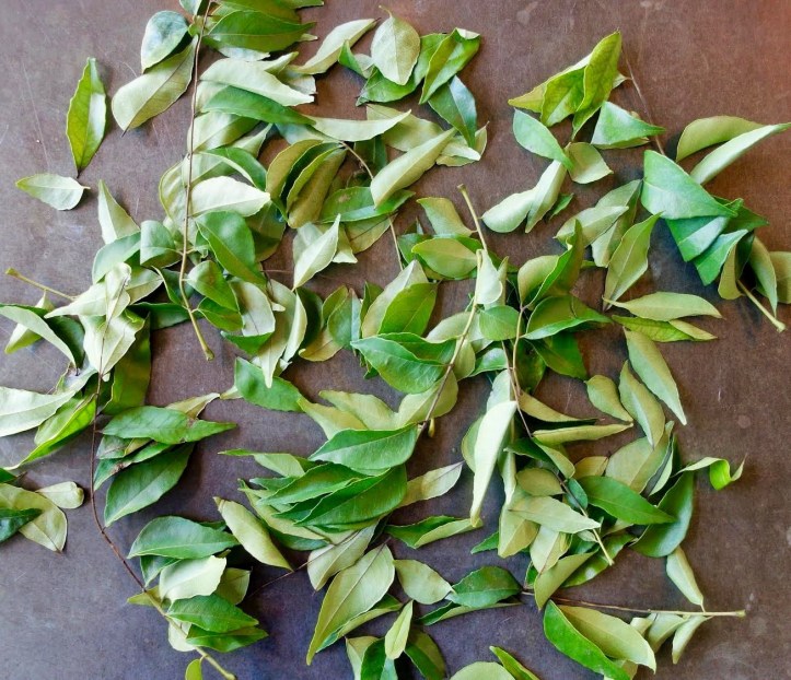 CurryLeaves_1