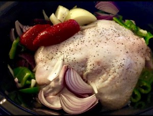 Tortilla Soup Raw Bird